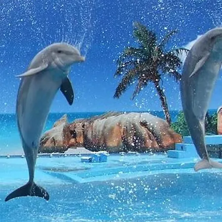 1 Bedroom 5 Min Falesia Beach And Close To Center - E Apartment *